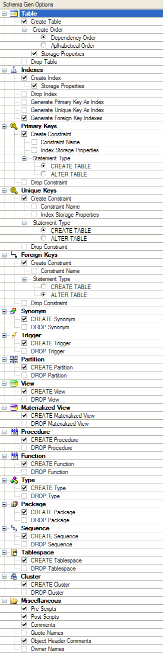 The various options that a Schema Gen Option Set defines.